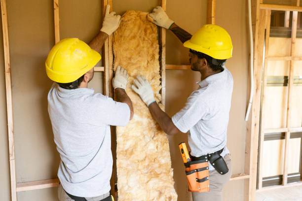 Professional Insulation Contractor in Glenwood, IA