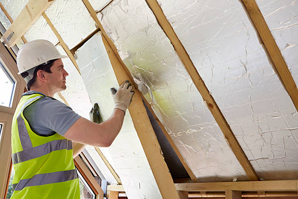 Best Cellulose Insulation  in Glenwood, IA